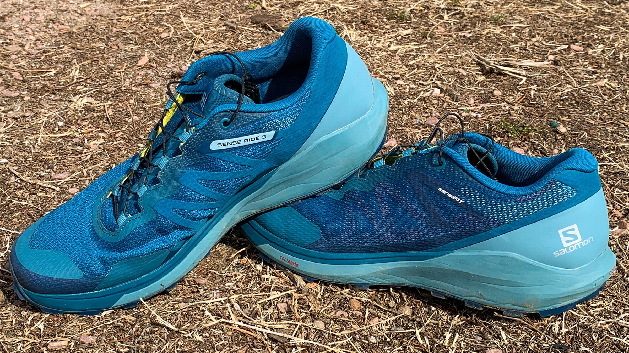 Shoe of the Week: Salomon Sense Ride 3