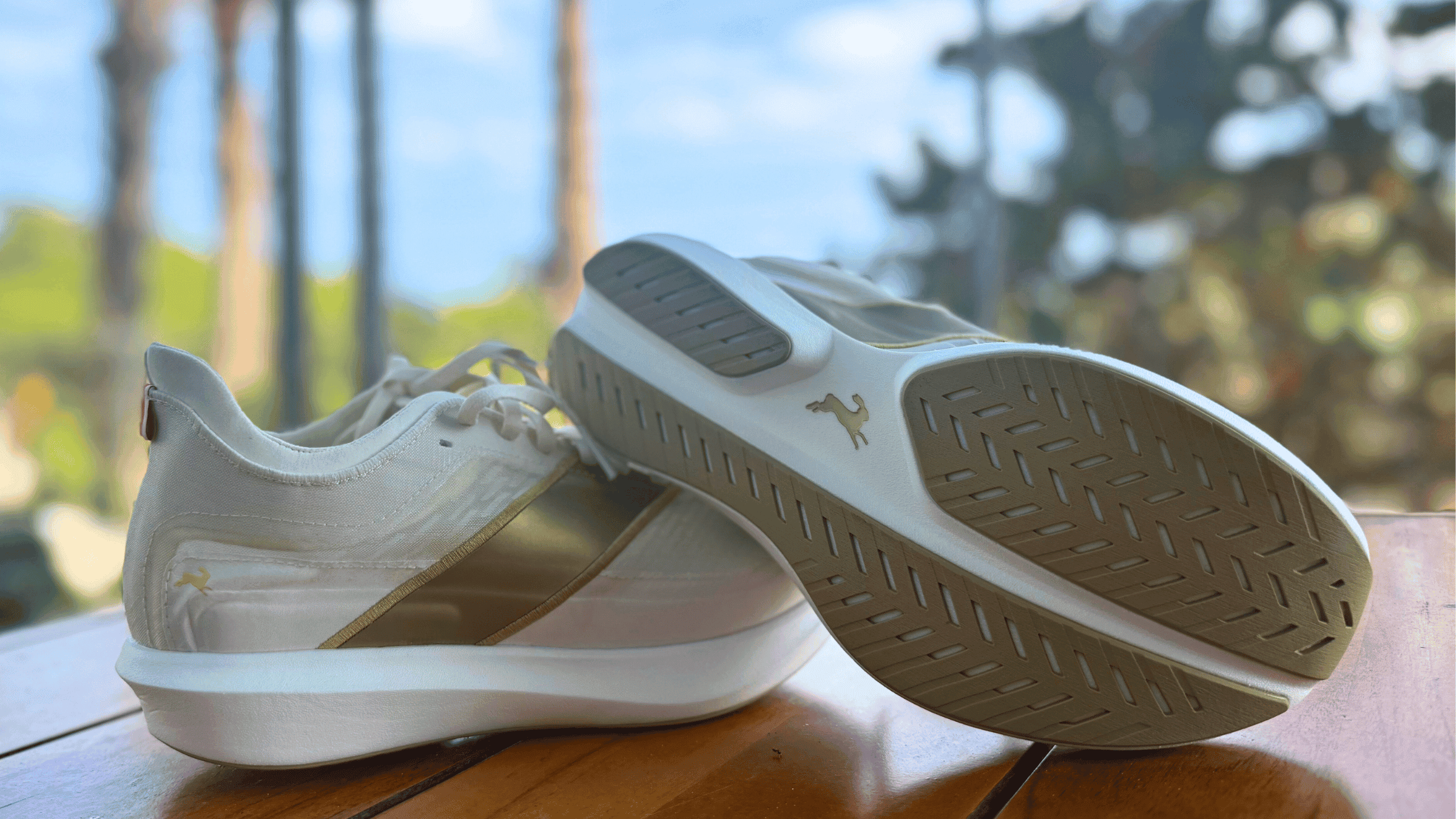 Elan Amphibio 78 Ti (2016)